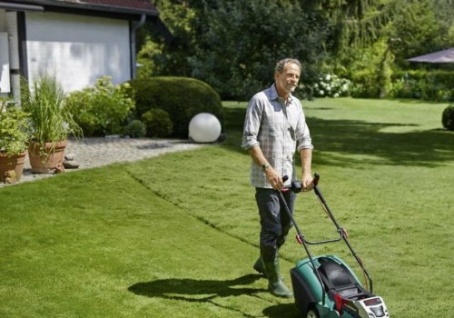 What are the two types of lawn mowers?